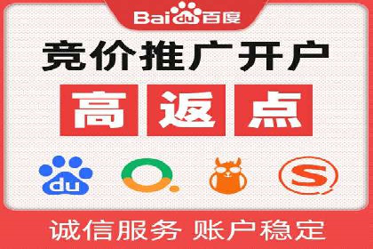 行业领先SEM服务公司案例研究